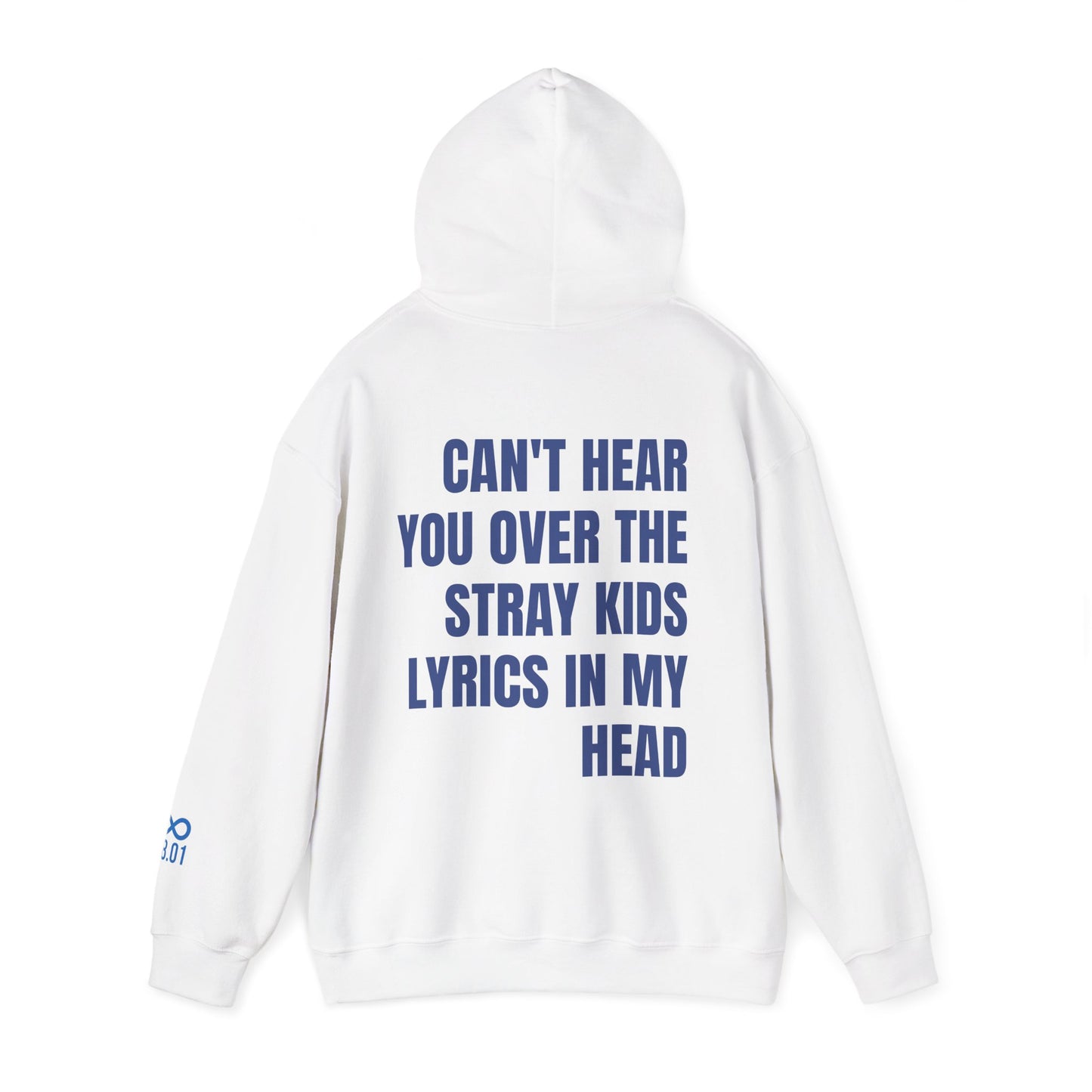 Stay Hoodie — "Can't Hear You Over the Lyrics in My Head" SKZ Hoodie